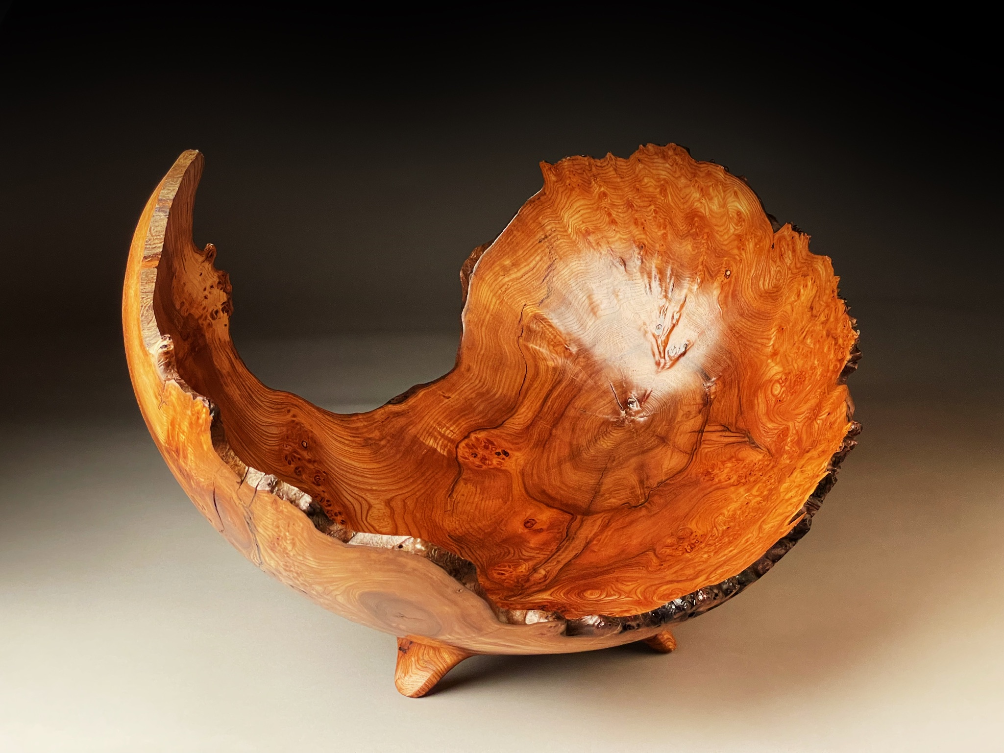 burr elm bowl